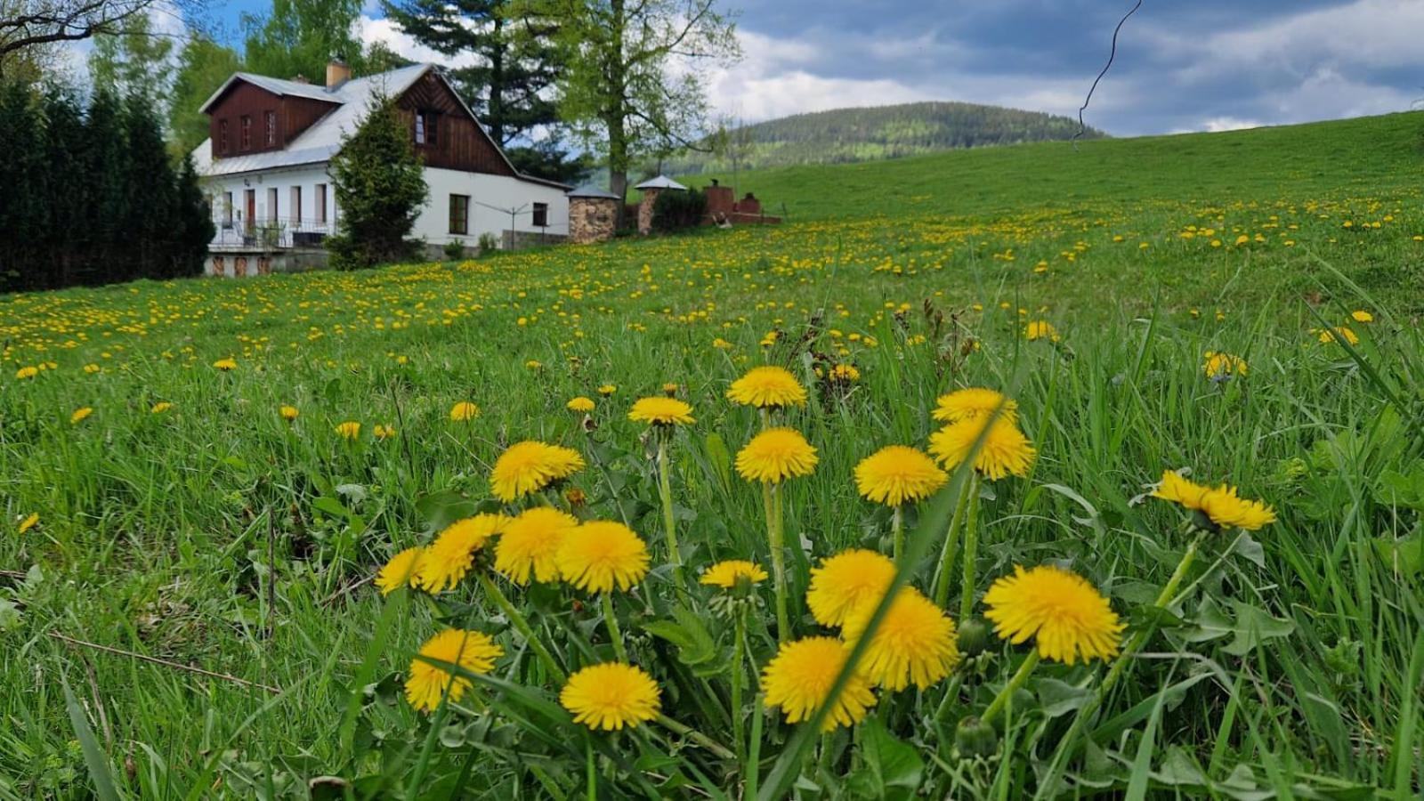 Knezice 25, Chalupa V Krkonosich Vrchlabí Buitenkant foto